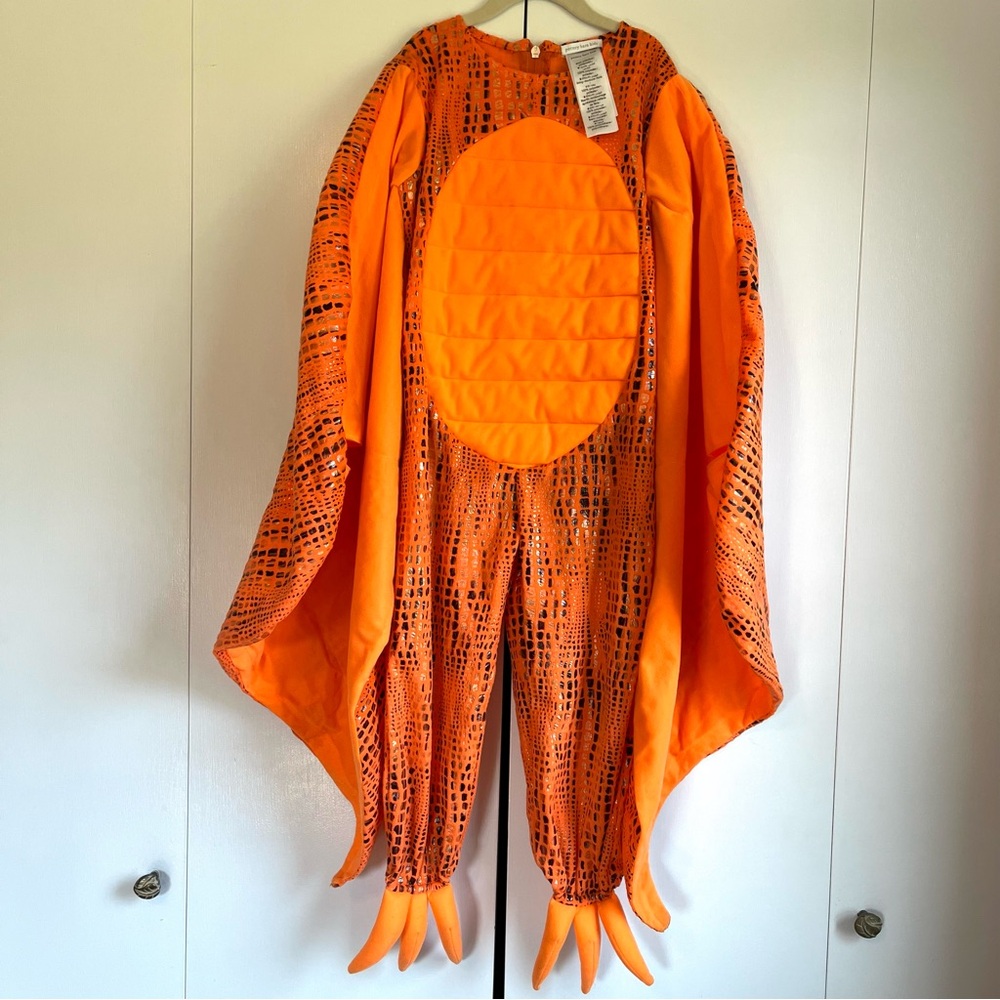 Pottery Barn Kids Orange Halloween Costume